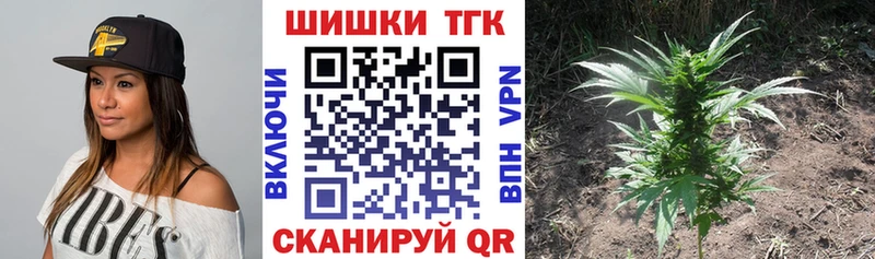 mega ТОР  Елизаветинская  Шишки марихуана конопля  даркнет сайт 